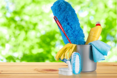 Professional upholstery cleaning in a Bickley living room