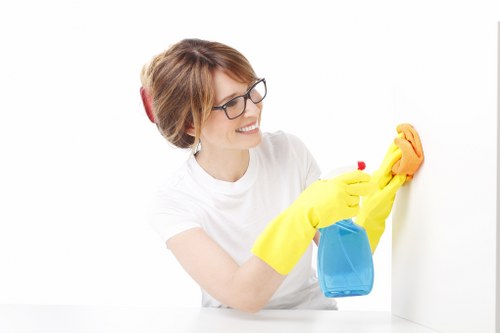 Deep cleaning for pet urine odour in Bickley home