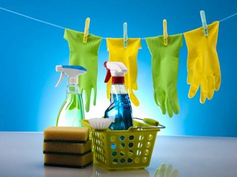 Ongoing review of accessible Bickley carpet cleaners web content