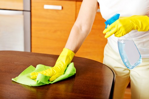 Steam cleaning curtains in a Bickley property